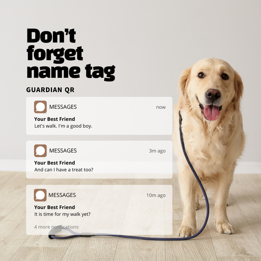 The Importance of Pet Name Tags and How It Relates to Your Business