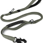 Dog Leash--Green