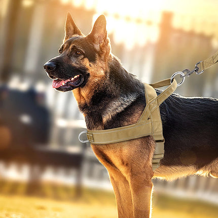 No Pull Dog Harness Soft Padded