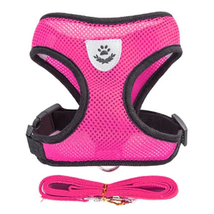 Dog Harness Walking Lead Leash For Small Dogs