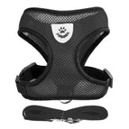 Black / M(2.5-4 kg)