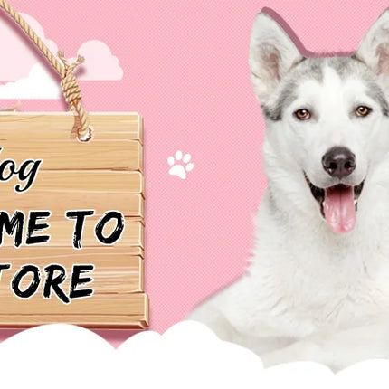 No Pull Dog Harness Soft Padded