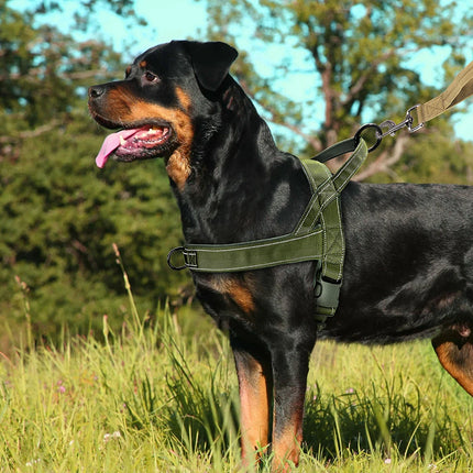 No Pull Dog Harness Soft Padded
