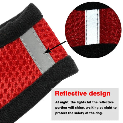 Dog Harness Walking Lead Leash For Small Dogs