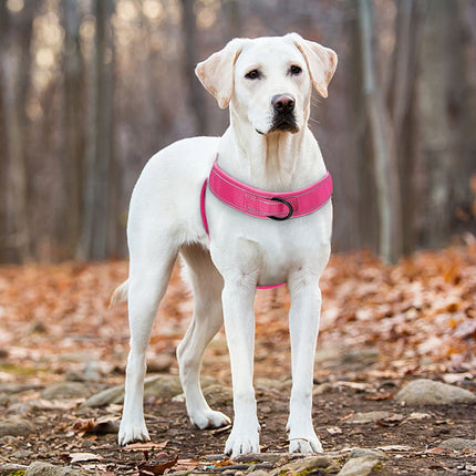 No Pull Dog Harness Soft Padded