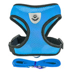 Blue / M(2.5-4 kg)