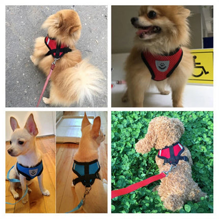 Dog Harness Walking Lead Leash For Small Dogs