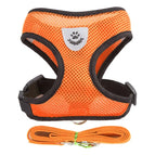 Orange / XL(6-7.5 kg)