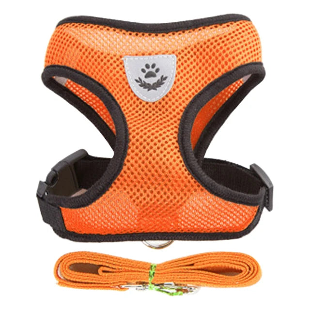 Dog Harness Walking Lead Leash For Small Dogs