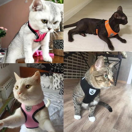 Dog Harness Walking Lead Leash For Small Dogs