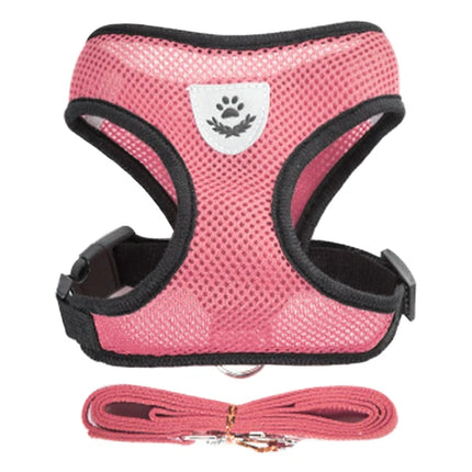 Dog Harness Walking Lead Leash For Small Dogs