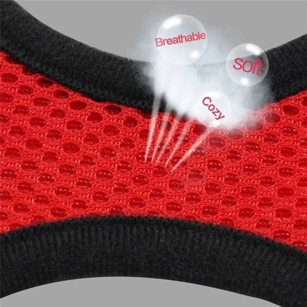 Dog Harness Walking Lead Leash For Small Dogs