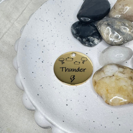 Smart Pet ID Tag