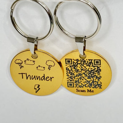 Smart Pet ID Tag