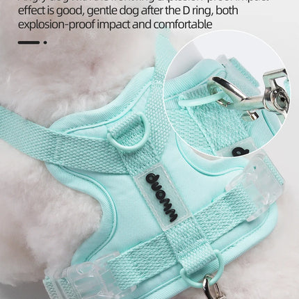 Colorful Lightweight Dog Harness for Small Breeds