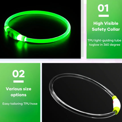 Pet Dog LED Light Collar
