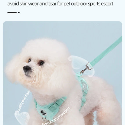 Colorful Lightweight Dog Harness for Small Breeds