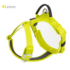 Yellow / XS
