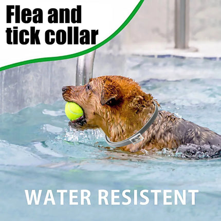 Flea And Tick Collar Silicone Adjustable Dogs Cats Collar 8 Month Protection