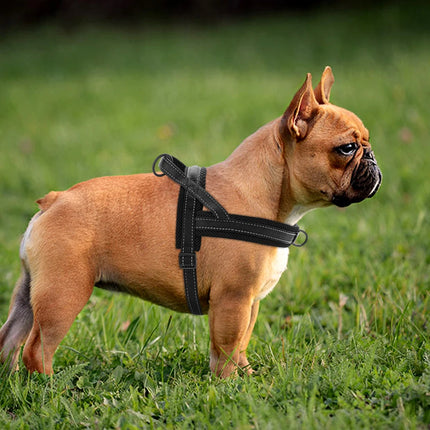 No Pull Dog Harness Soft Padded