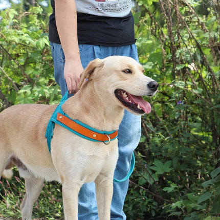 No Pull Dog Harness Soft Padded
