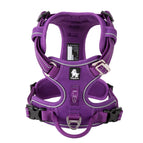 PURPLE / XS / CHINA