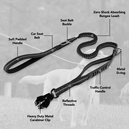 Heavy Duty Dog Leash with Elastic Bungee for Medium & Large Dogs