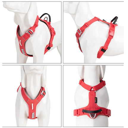 SMALL COMBINATION Pet Harness No Pull Adjustable Comfortable Control