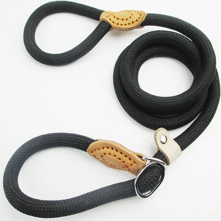 Dog Walking Leash Slip Rope Adjustable Loop Collar Training Leashes for Large Dogs