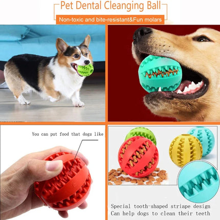 Rubber Balls Puppy Chewing