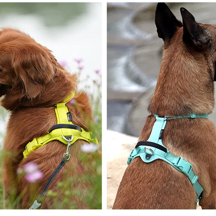 SMALL COMBINATION Pet Harness No Pull Adjustable Comfortable Control