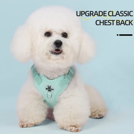 Colorful Lightweight Dog Harness for Small Breeds