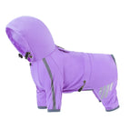 Purple / M