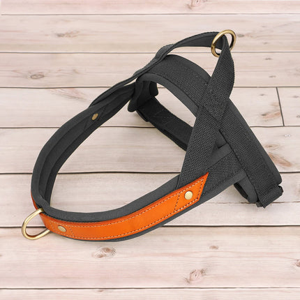 No Pull Dog Harness Soft Padded