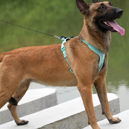 SMALL COMBINATION Pet Harness No Pull Adjustable Comfortable Control