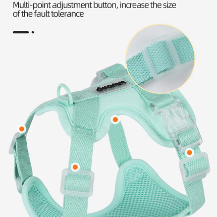 Colorful Lightweight Dog Harness for Small Breeds