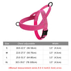 041 Pink / XS