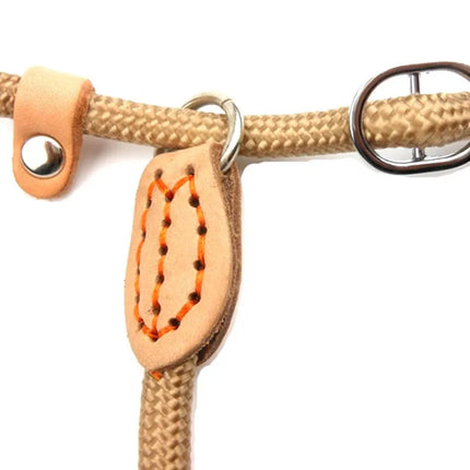 Dog Walking Leash Slip Rope Adjustable Loop Collar Training Leashes for Large Dogs