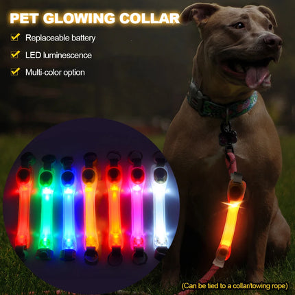 Dog Glowing Collar & Leash Anti Lost Safety Outdoor Waterproof Warning LED Flashing Light Strip Pet Harness Dog Accessories