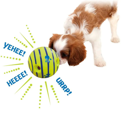 Dog Toy Balls