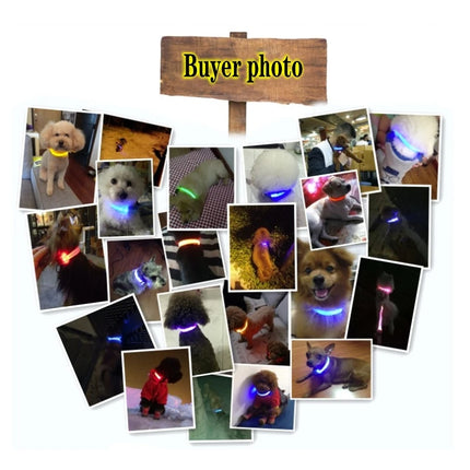 Led Dog Collar USB Charging/Battery