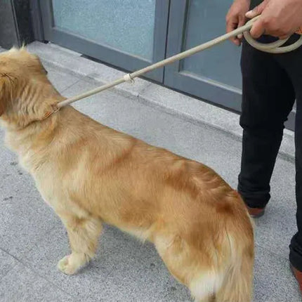 Dog Walking Leash Slip Rope Adjustable Loop Collar Training Leashes for Large Dogs