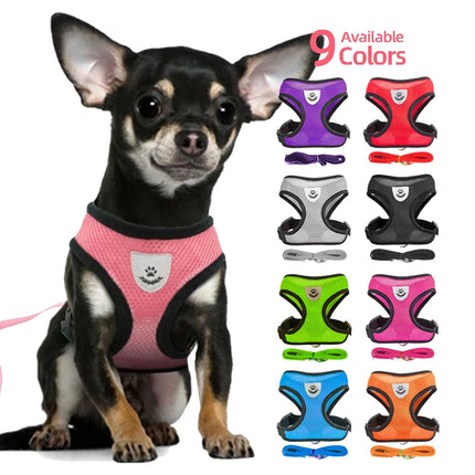 Dog Harness Walking Lead Leash For Small Dogs
