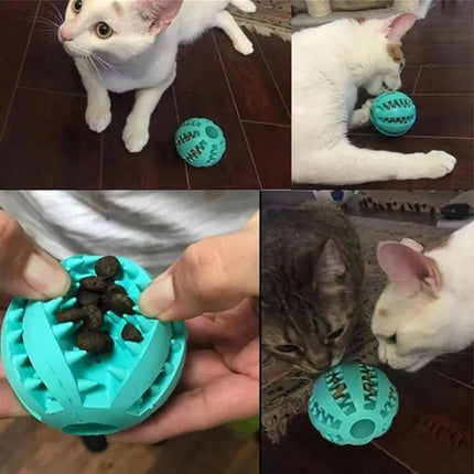 Rubber Balls Puppy Chewing