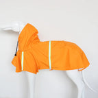 orange / XXL