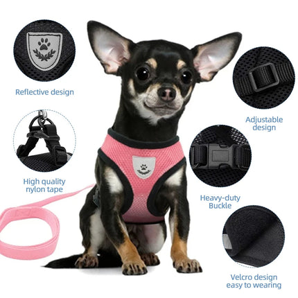 Dog Harness Walking Lead Leash For Small Dogs