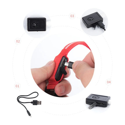 Led Dog Collar USB Charging/Battery