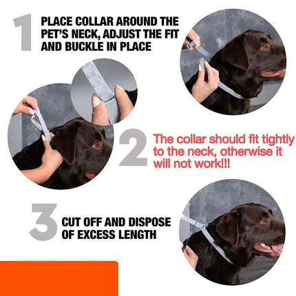 Flea And Tick Collar Silicone Adjustable Dogs Cats Collar 8 Month Protection