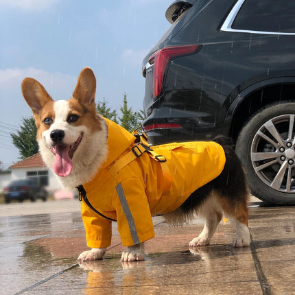 Dog Raincoat with Hooded and Leash Ring Waterproof