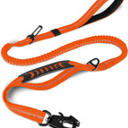 Dog Leash--Orange